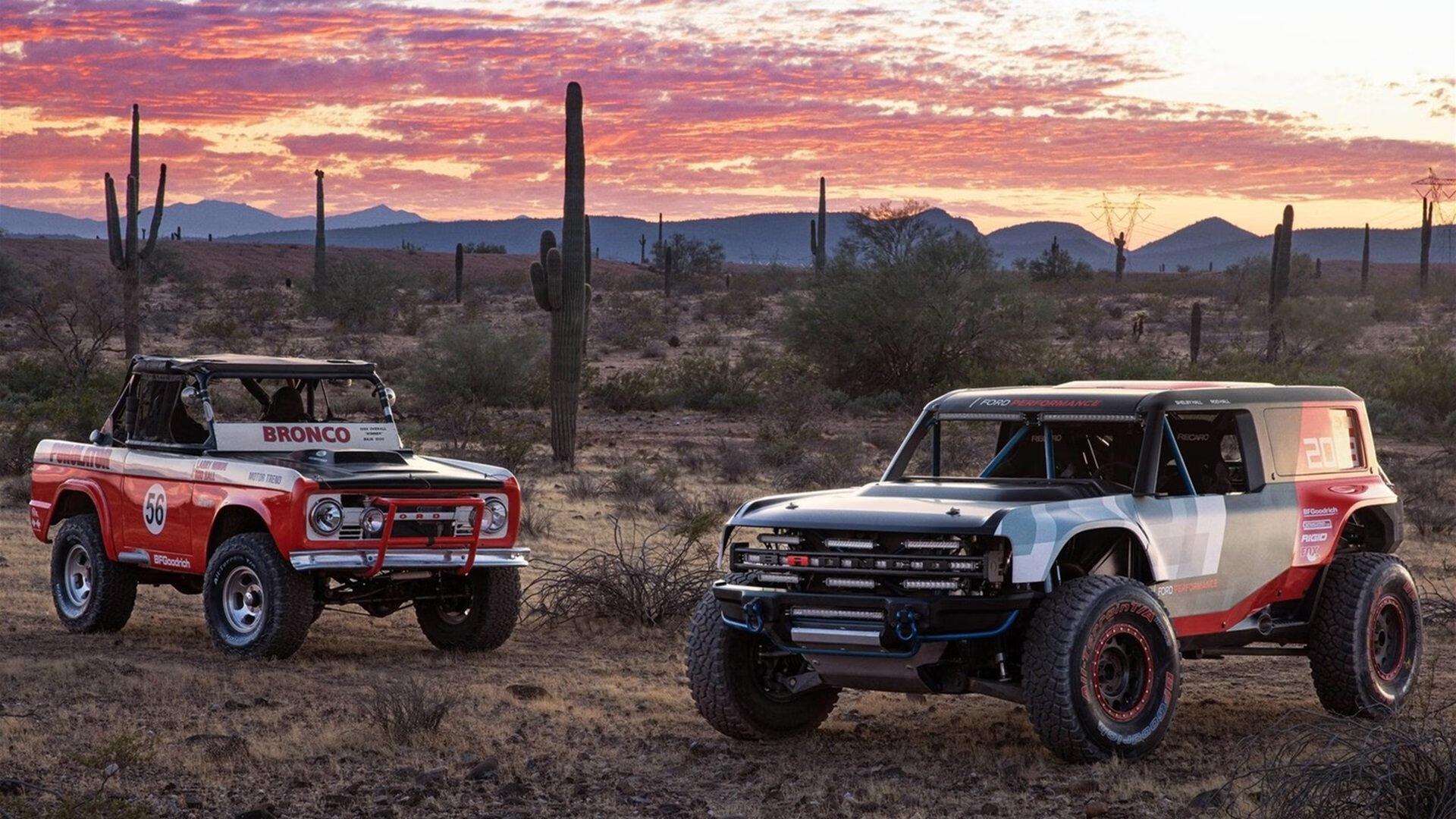 “东安湖赛场跑酷：惊险跃升，挑战极限障碍”