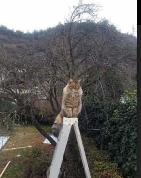 “高新体育中心沙滩排球：速度、耐力与技巧的完美展示”