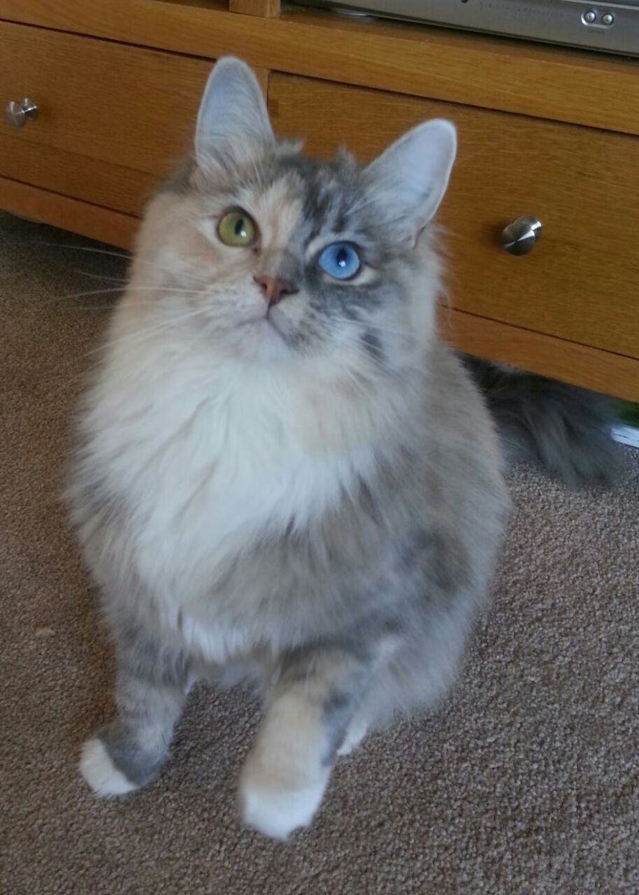 乐鱼体育入口-换帅后战术风格变化对球员数据表现的量化差异，nba换帅