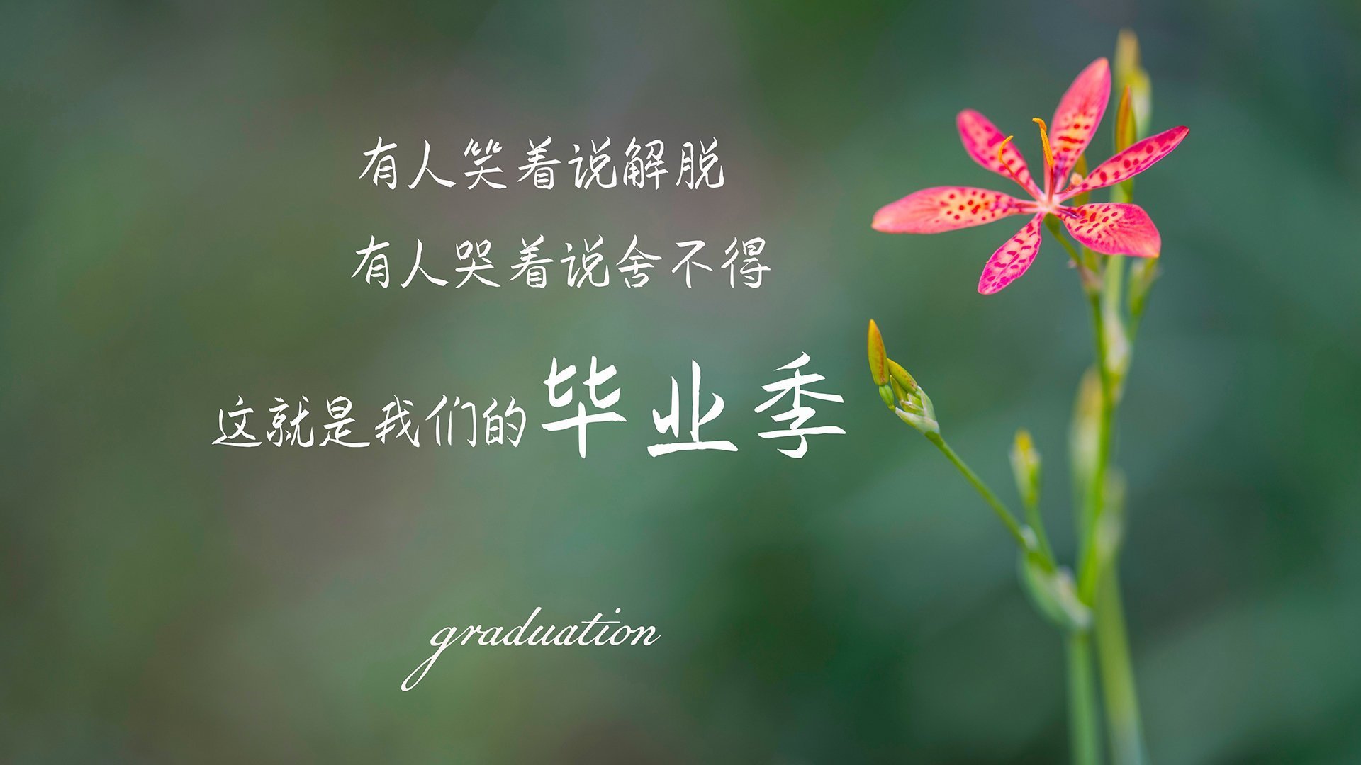 乐鱼体育在线入口-本土教练战术系统缺乏国际化视角，本土教练怎么了