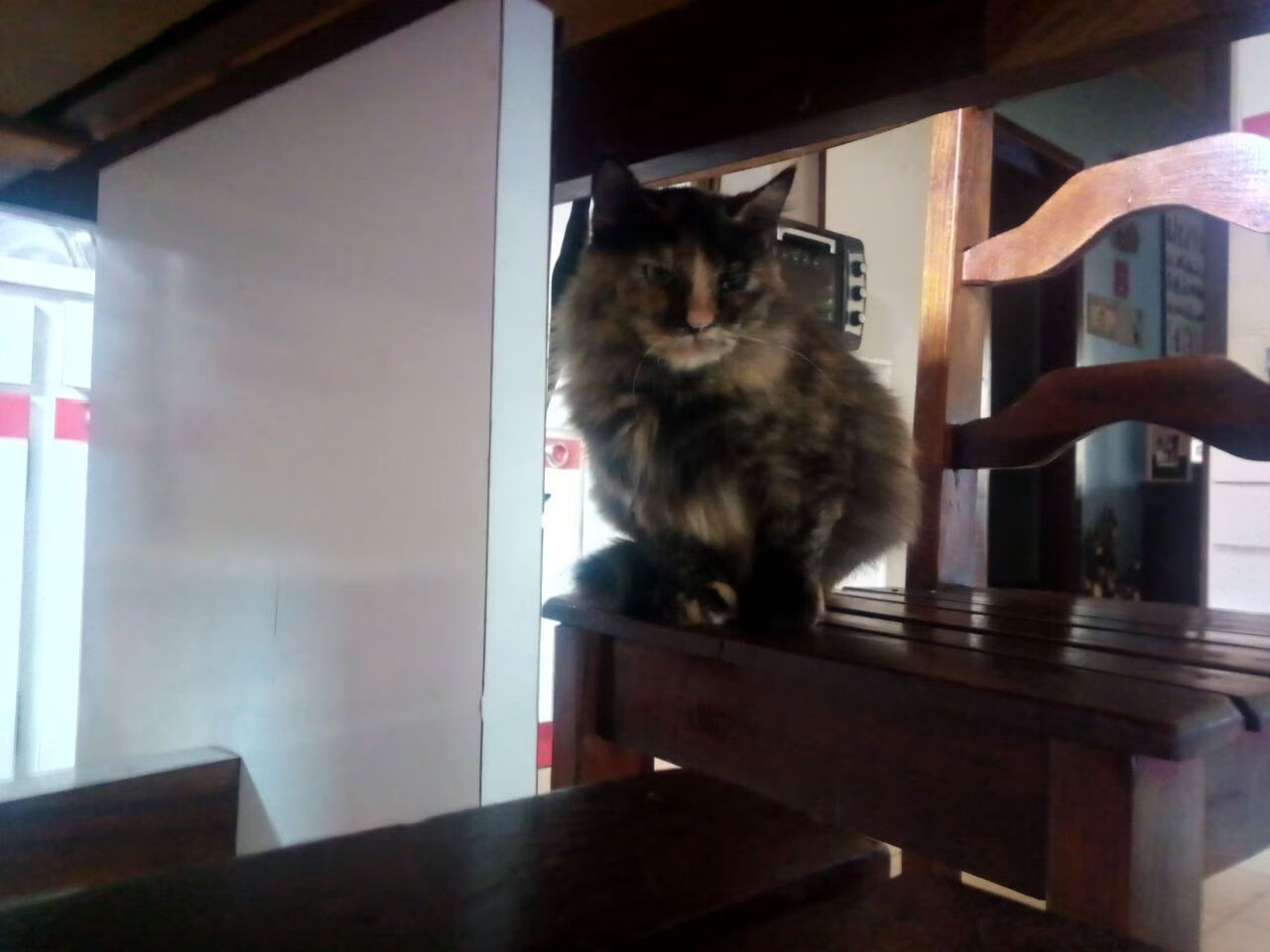 乐鱼体育 vip注册-76人全队合练照曝光团队氛围良好，76人球员合照