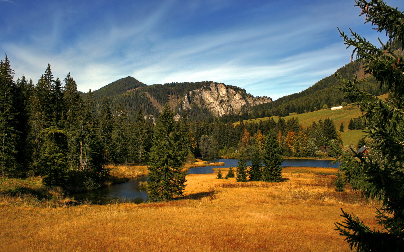乐鱼体育官网下载-浓眉带伤出战湖人东部前四稳固，湖人浓眉伤情